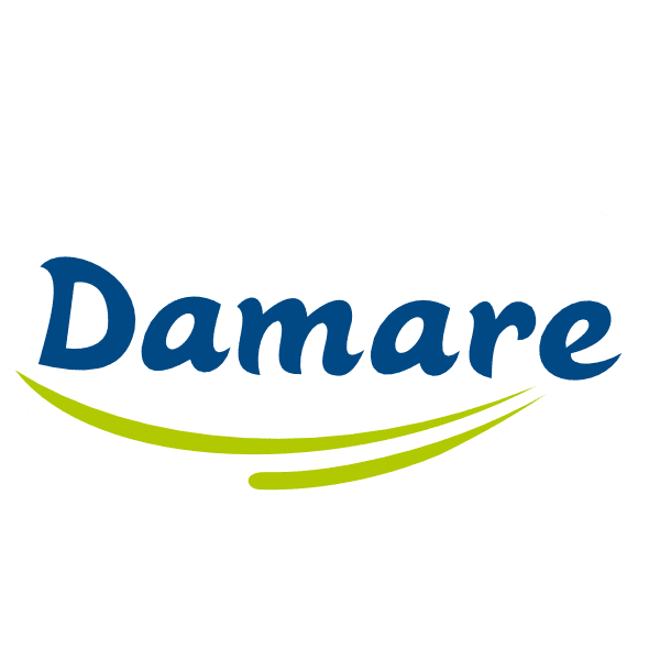 Logo Damare